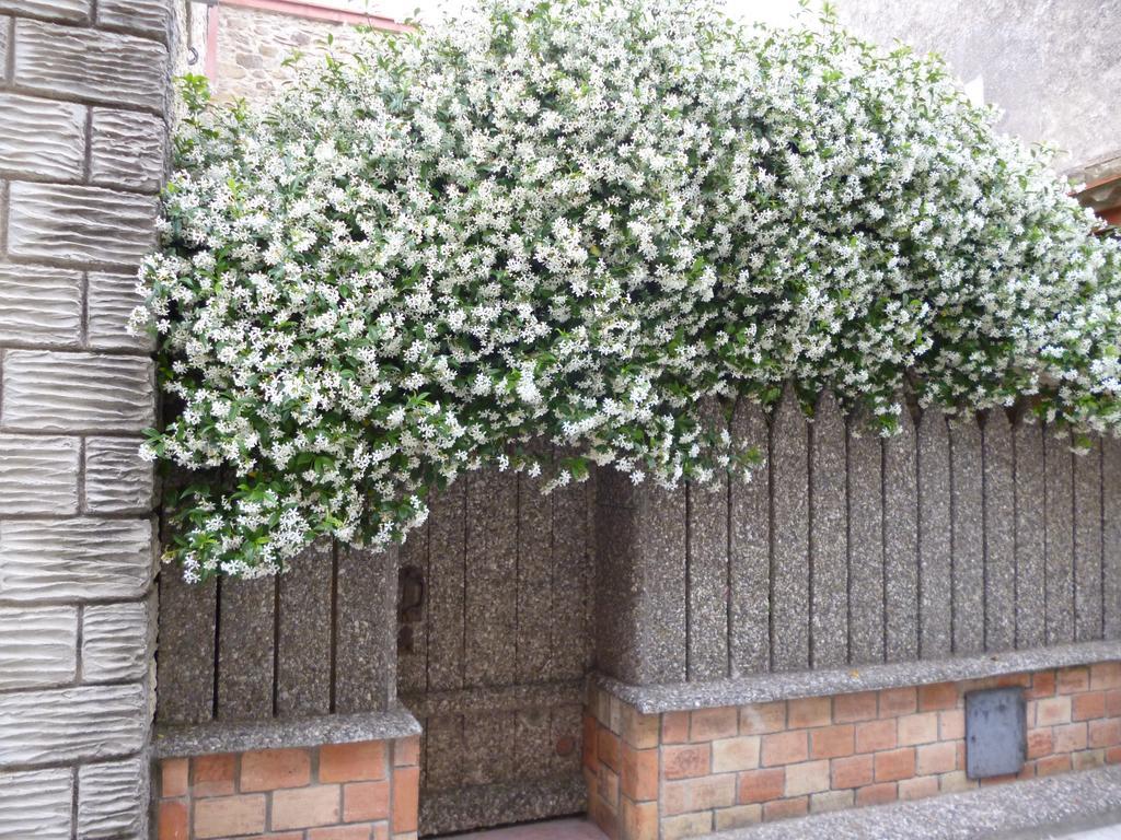 Chambres D'Hotes La Rose Des Vents Ginestas Экстерьер фото